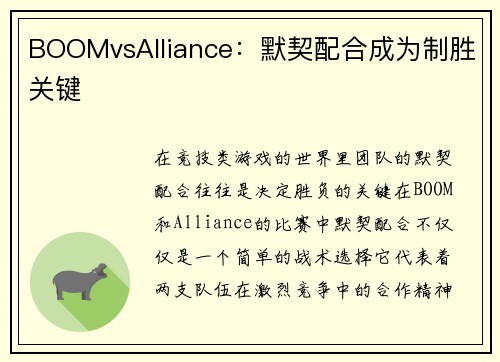 BOOMvsAlliance：默契配合成为制胜关键